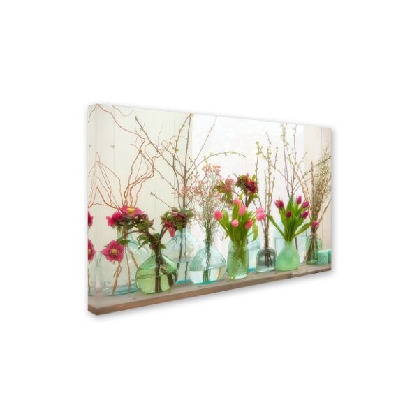 Cora Niele 'Spring Flowers In Glass Bottles Ii' Canvas Art,16x24